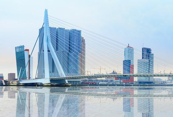 wespenbestrijding-rotterdam