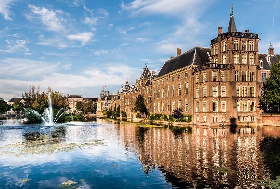 wespenbestrijding-den-haag