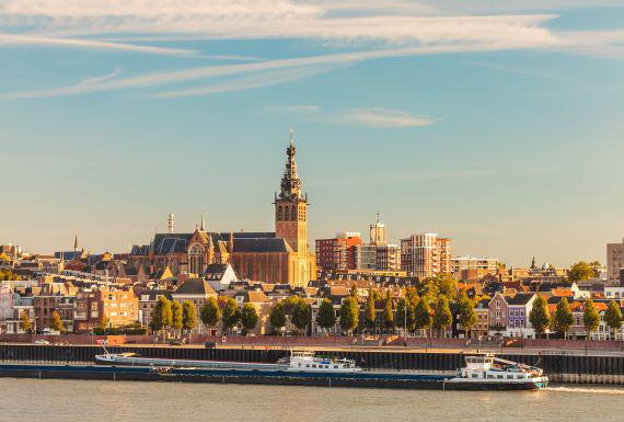wespenbestrijding-nijmegen