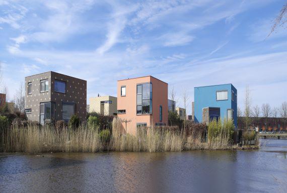 wespenbestrijding-enschede