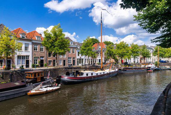 wespenbestrijding-den-bosch