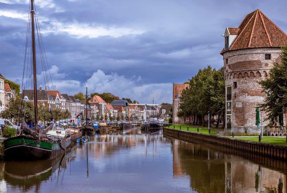 wespenbestrijding-zwolle