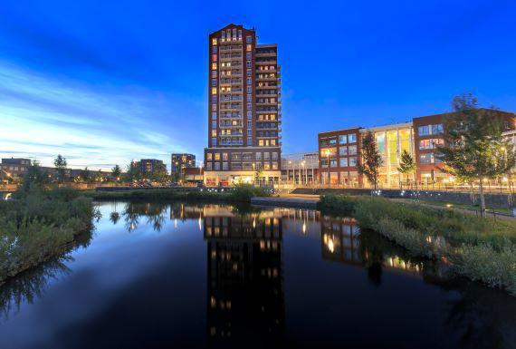 wespenbestrijding-zoetermeer