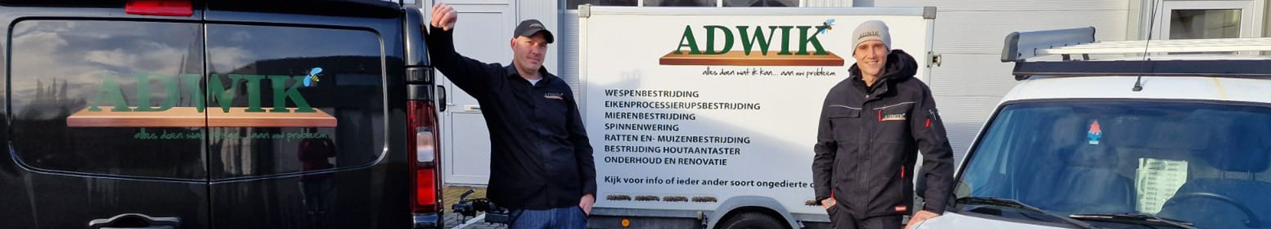 Wespen bestrijden Aerdenhout: lokale vakman voor jou!